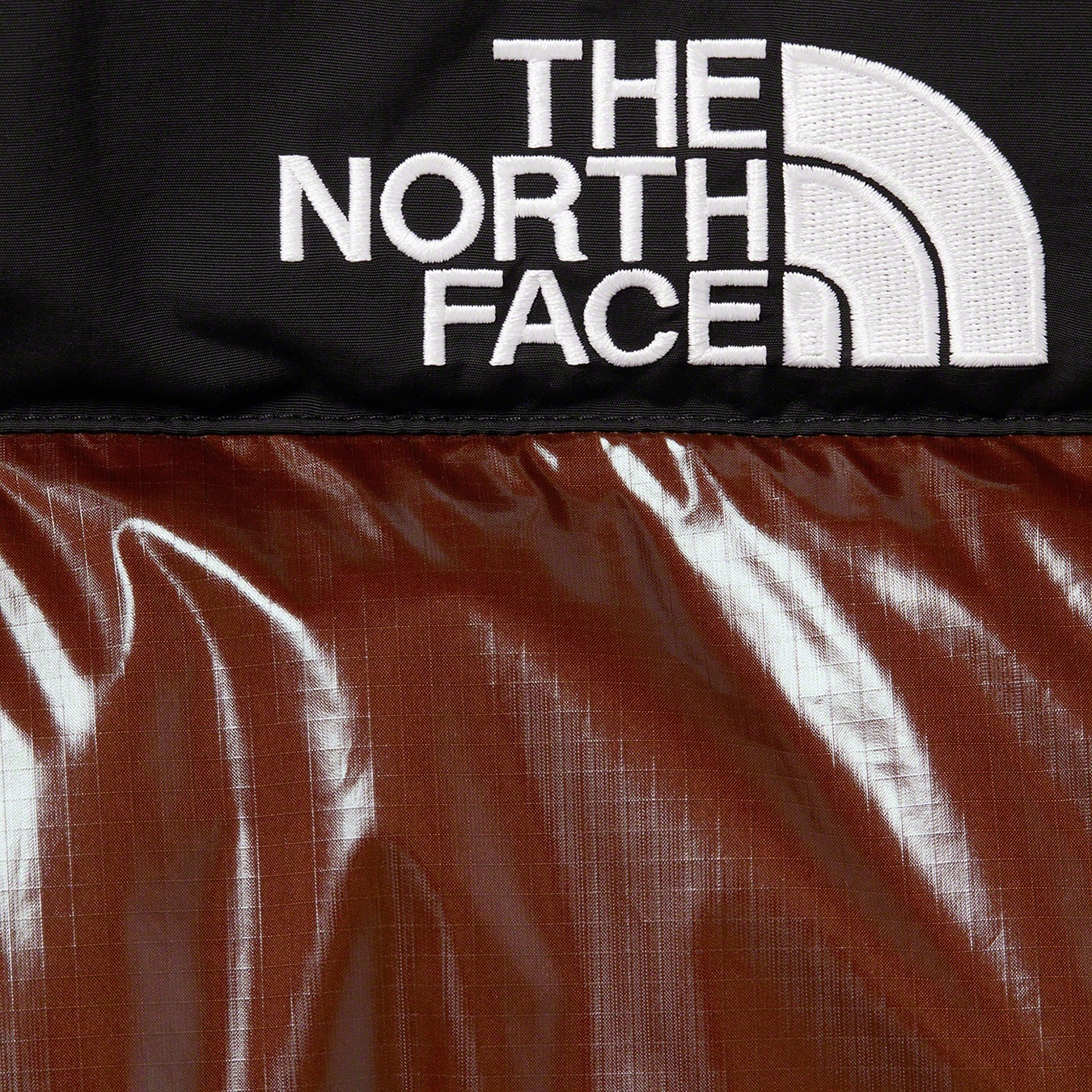 Supreme®/The North Face® 700-Fill Down Parka view 7